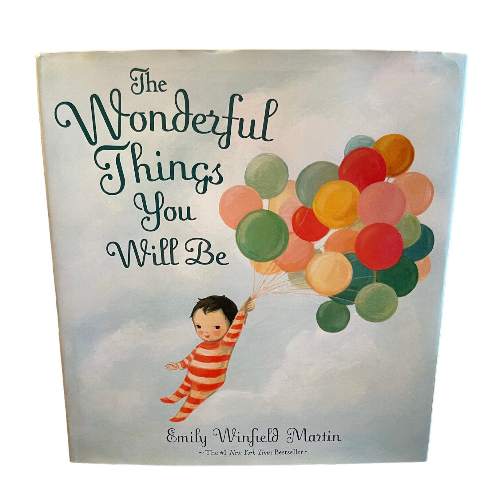 The Wonderful Things You Will Be Childrens Book Gently Used Excellent